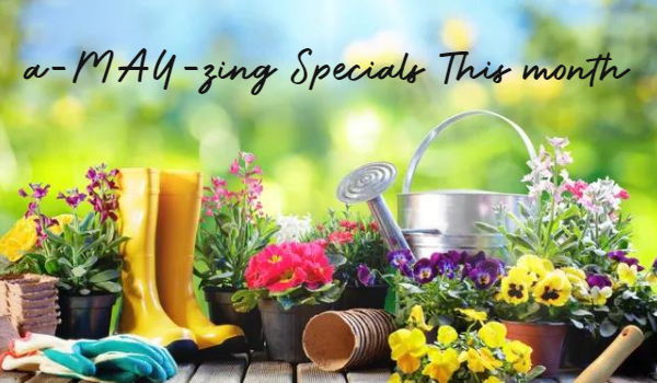 a-MAY-zing Specials this month